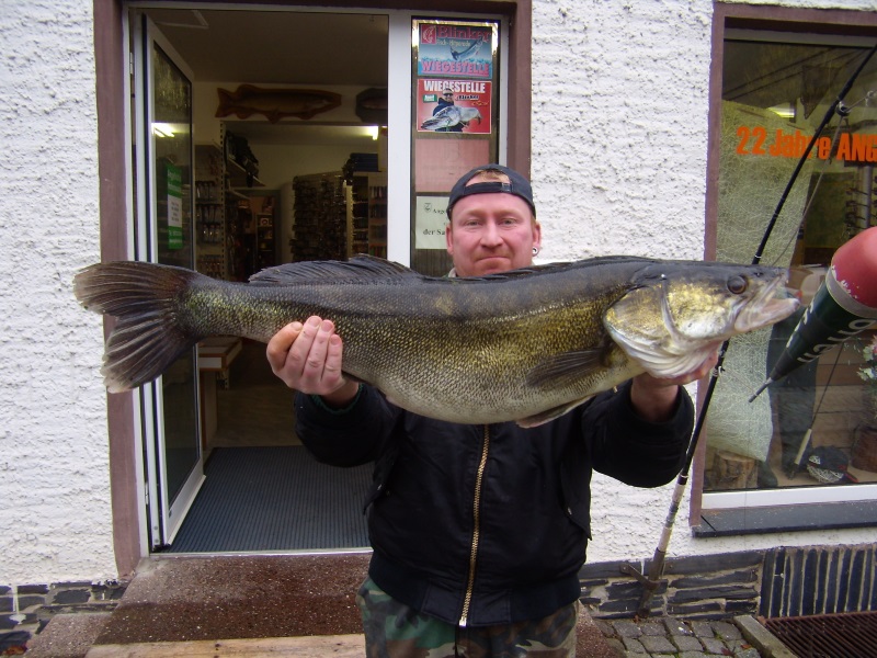 Sven Franke Zander 89 cm 7,2kg Köfi 19.11.14 Bleiloch TS - 